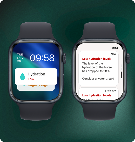 Smartwatch hydration alert screens during training