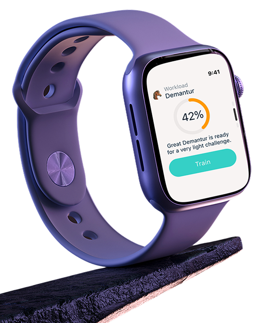 Equine Integration smartwatch concept for rider feedback during training